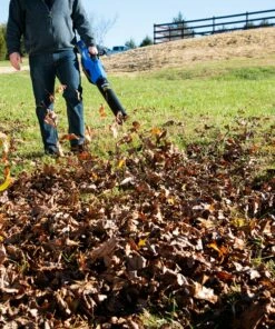 Kobalt Cordless Electric Leaf Blowers 80-volt Max 630-CFM Brushless Handheld Cordless Electric Leaf Blower (Tool Only) -Kobalt Sales Shop 10216808